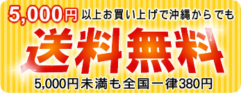 5000円以上送料無料